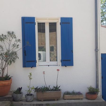 Maison Occitane Saint-Nazaire-d'Aude Luaran gambar